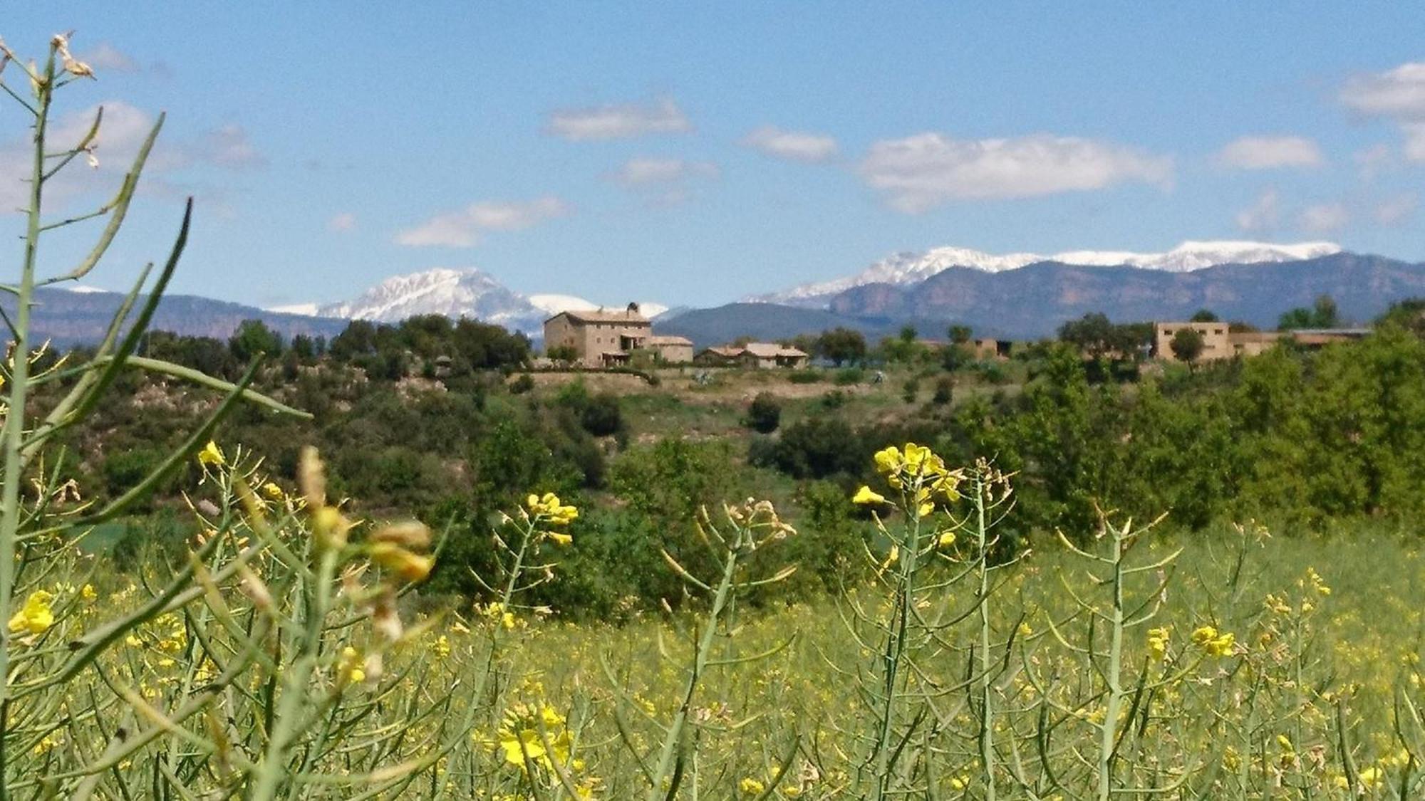 Casa Rural Sant Grau Turismo Saludable Y Responsable Solsona Exteriör bild