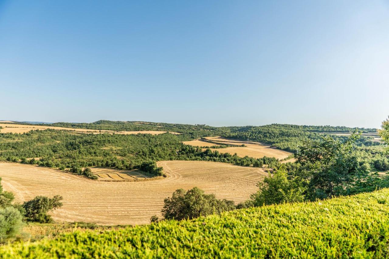 Casa Rural Sant Grau Turismo Saludable Y Responsable Solsona Exteriör bild